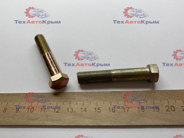 Болт крепления оси нижних рычагов ГАЗ-2410 (М10х1х55)